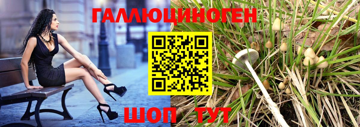 Галлюциногенные грибы Psilocybine cubensis Ачхой-Мартан