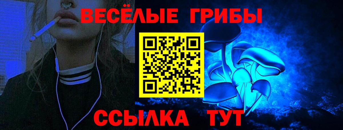 наркошоп  Вход с VPN  Ачхой-Мартан  Галлюциногенные грибы Cubensis 